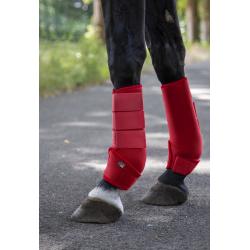 Protectores De Softopren -Colour-