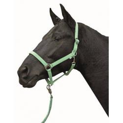 Cabezada -Stars Economy Softice-