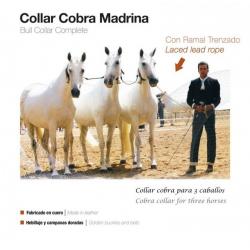  Collar Cobra Madrina Con Ramal Trenzado