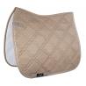 Mantilla -Bologna-