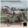 Enganche Pechopetral Húngara Sencillo Negro