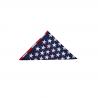 Bandana With Flag Or Confederation Pattern