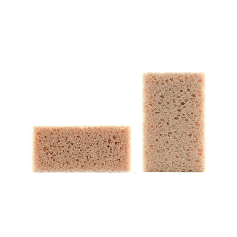 Sponge Large Size