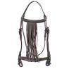 Vaquera Bridle