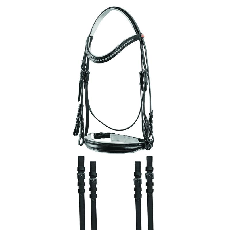 Leather Dressage Set Stones