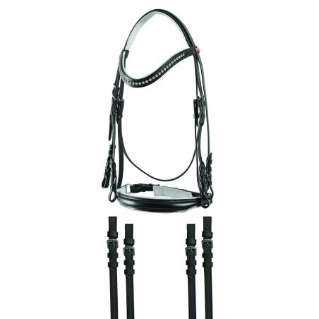 Leather Dressage Set Stones