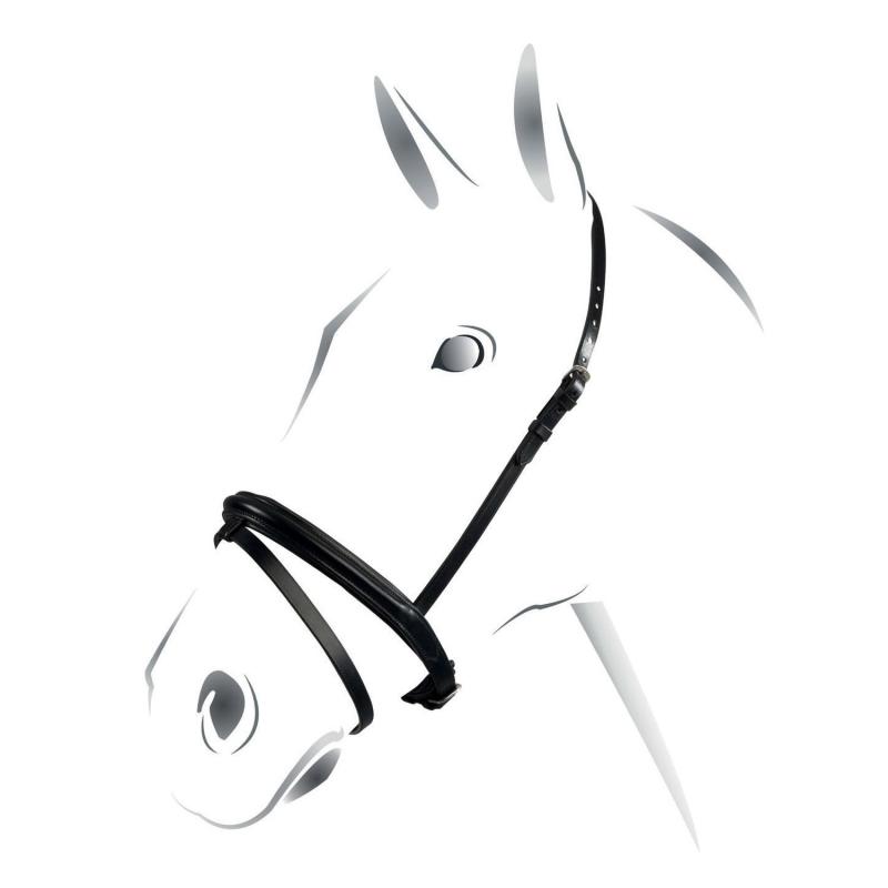 Equestro Flash Noseband