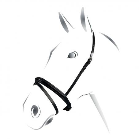 Equestro Flash Noseband