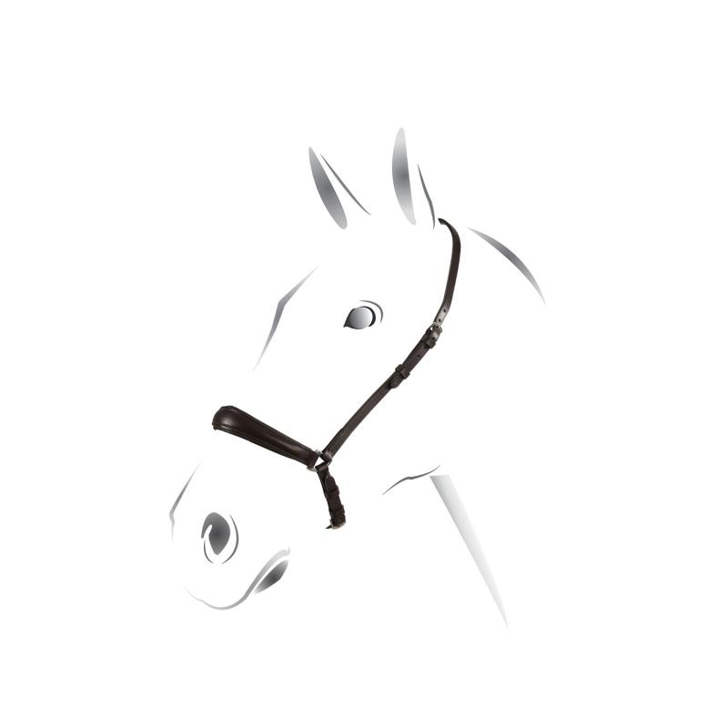 Equestro German Style Noseband