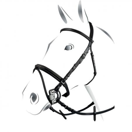 Equestro Deco Model Bridle