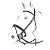 Equestro Deco Model Bridle