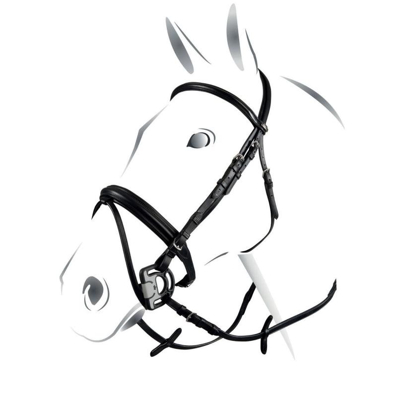 Equestro Genesis Model Bridle