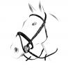 Equestro Genesis Model Bridle