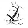 Equestro Dressage Plus Model Bridle