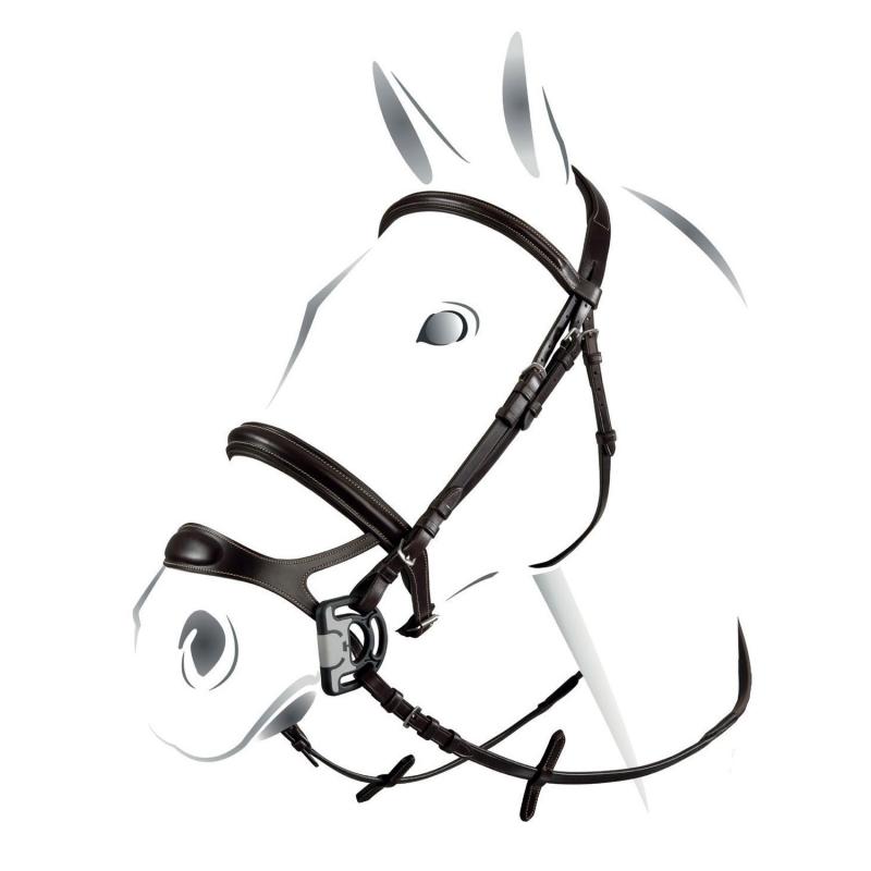 Equestro Combined Model Bridle