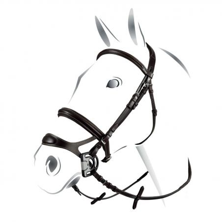 Equestro Combined Model Bridle