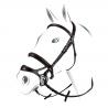 Equestro Combined Model Bridle