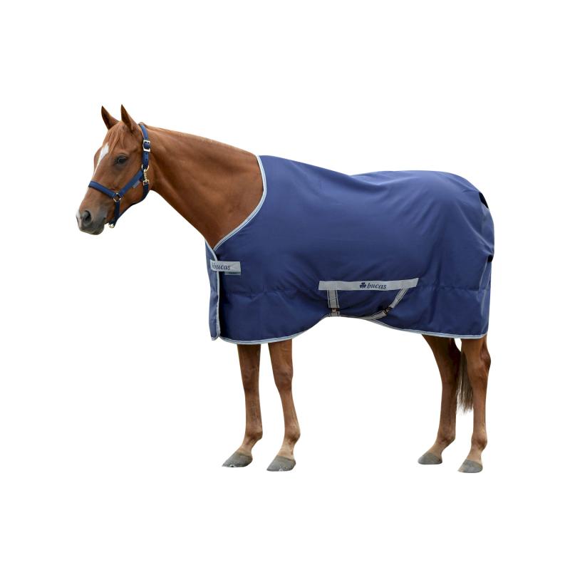 Bucas Canvas Rug Freedom Twill