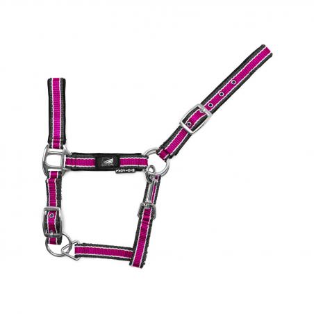 Foal Nylon Bicolor Halter With Double Adjustment And Snap Hook