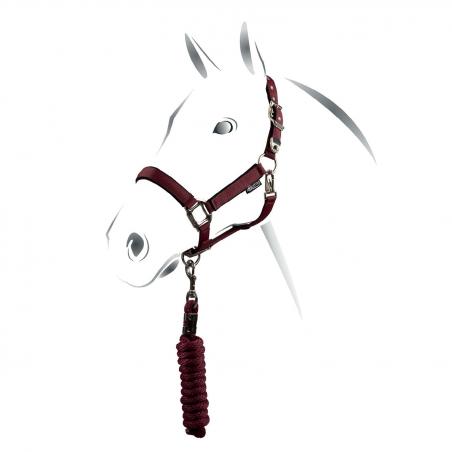 Equestro Shiny Fittings Model Halter With Lead