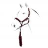 Equestro Shiny Fittings Model Halter With Lead