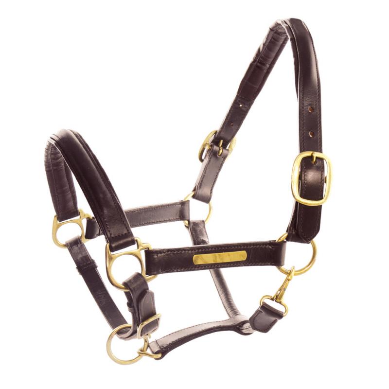 Leather Halter With Brass Nameplates