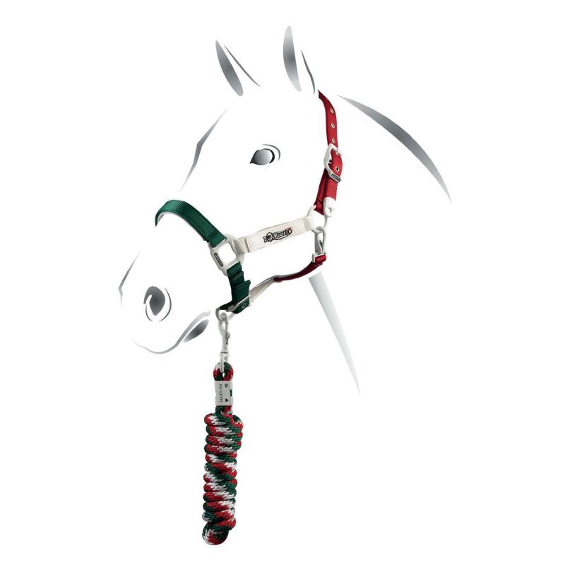 Equestro Flaggy Model Halter With Lead