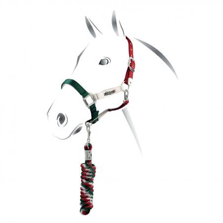 Equestro Flaggy Model Halter With Lead