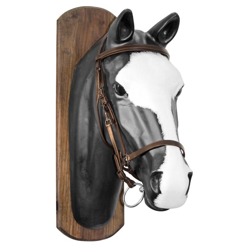 Halter-Bridle