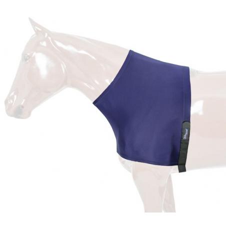 Lycra Chest Protection