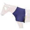 Lycra Chest Protection