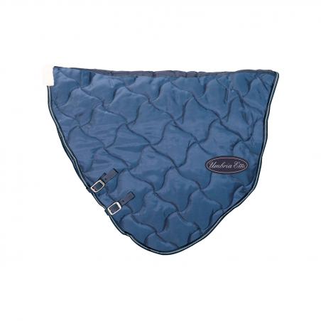 Stable Hood For Co00271 New Wave Model