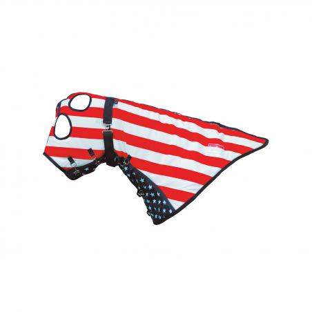Stable Hood For Co00276 Usa Stars Model
