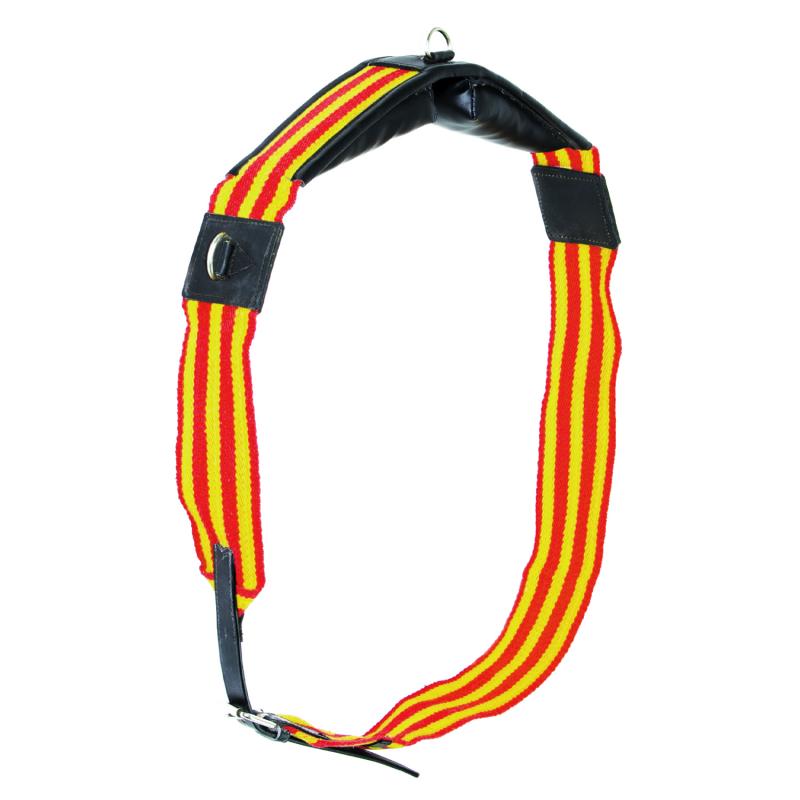 Training Web Roller