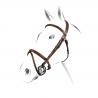 Equestro Jumping Model Bridle