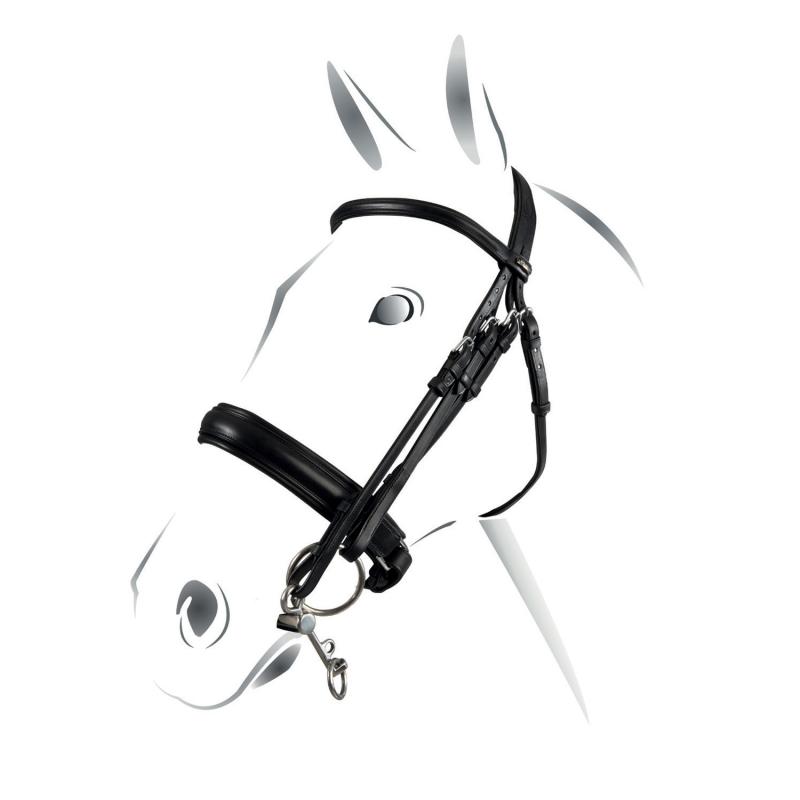 Equestro Evolution Model Bridle