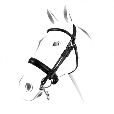 Equestro Evolution Model Bridle
