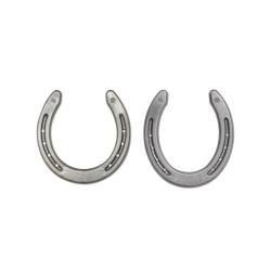 Quarter Horse Horseshoes