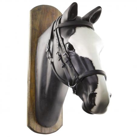 Biothane Horse Ball Bridle