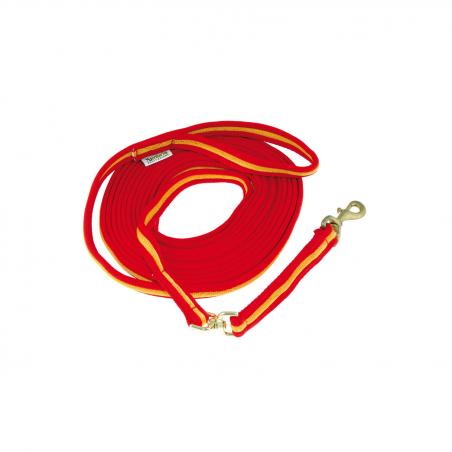 Padded Nylon Lunge Rein