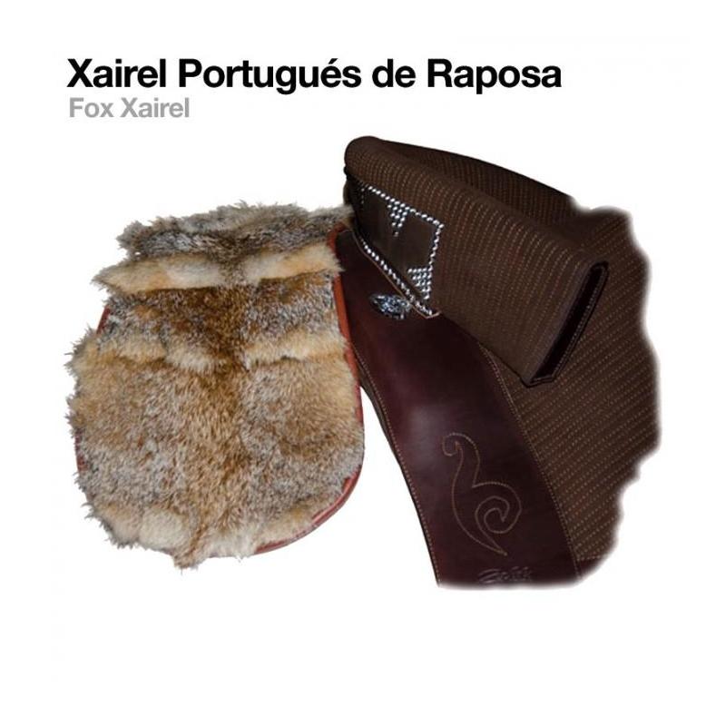  Xairel Portugués De Raposa