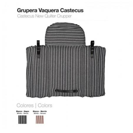 Grupera Vaquera Castecus