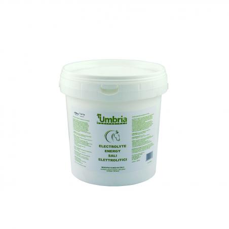 Electrolyte Energy C+E (1 Kg)
