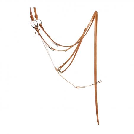 Schutz Brothers German Martingale