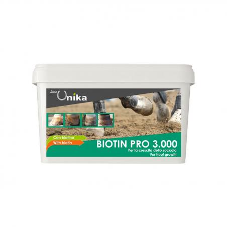 Biotin Pro 3000 (1 Kg)