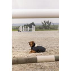 Manta Polar Diego & Louna "teddy"