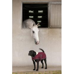 Manta Polar Diego & Louna "teddy"