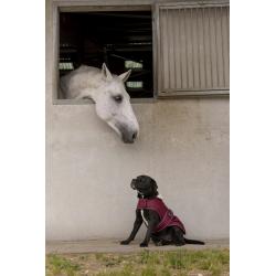 Manta Polar Diego & Louna "teddy"