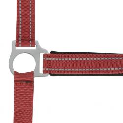 Cabezada De Cuadra Norton "reflective"