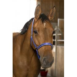 Cabezada De Cuadra Norton "reflective"